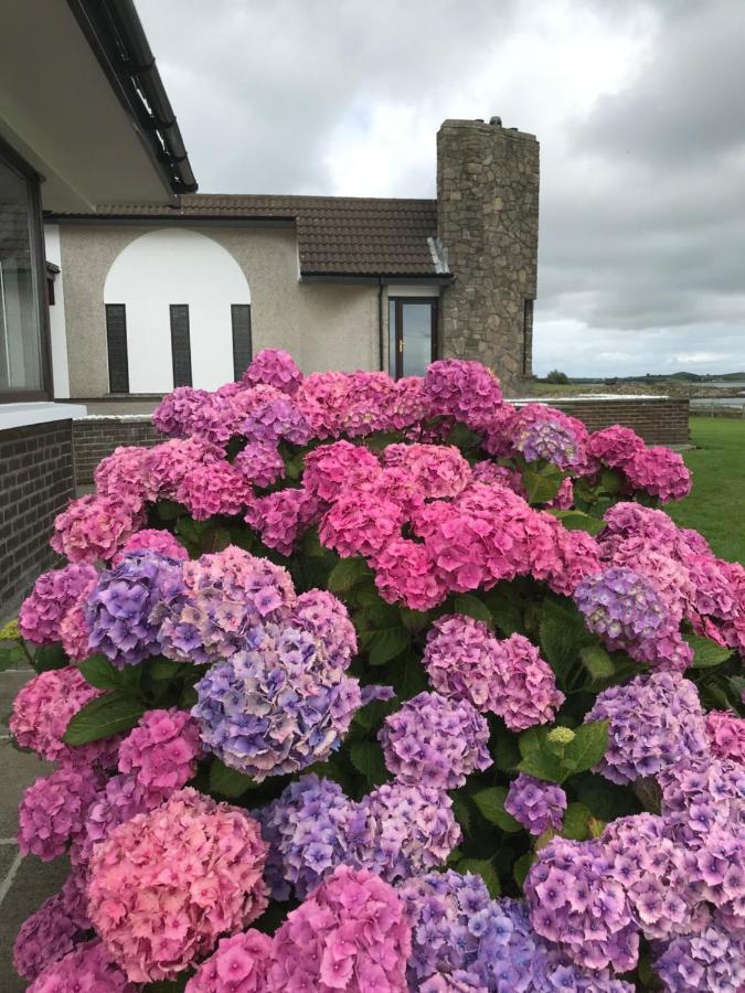 Villa Castlepoint Strangford Exterior foto